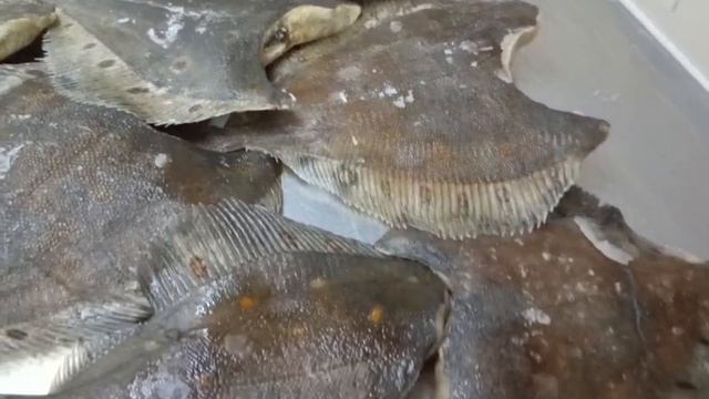 Камбала 1 сорт ГОСТ