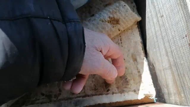 Анализ развития пчёл в 18 ти и 8 ми рамочных ульях. смотреть онлайн