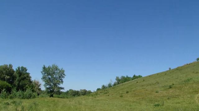 Пение птиц 1 смотреть онлайн
