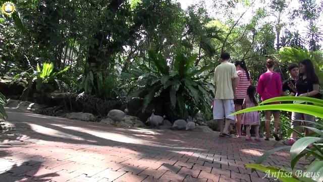 Азия.350.World's Largest Free-flight Walk-in Aviary.