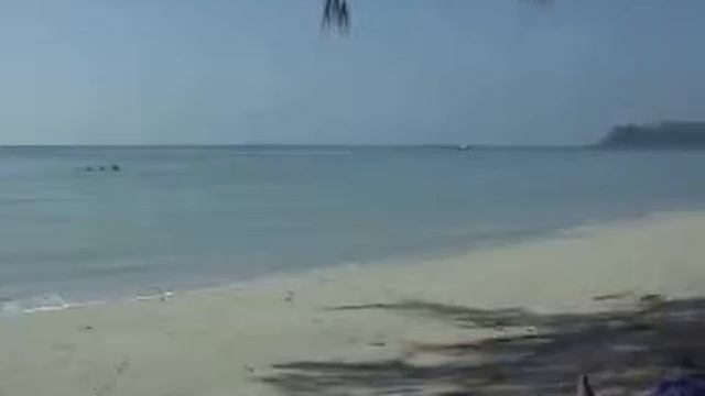 tigerhut beach / koh chang / thailand / 12.2013 / part 4 смотреть онлайн
