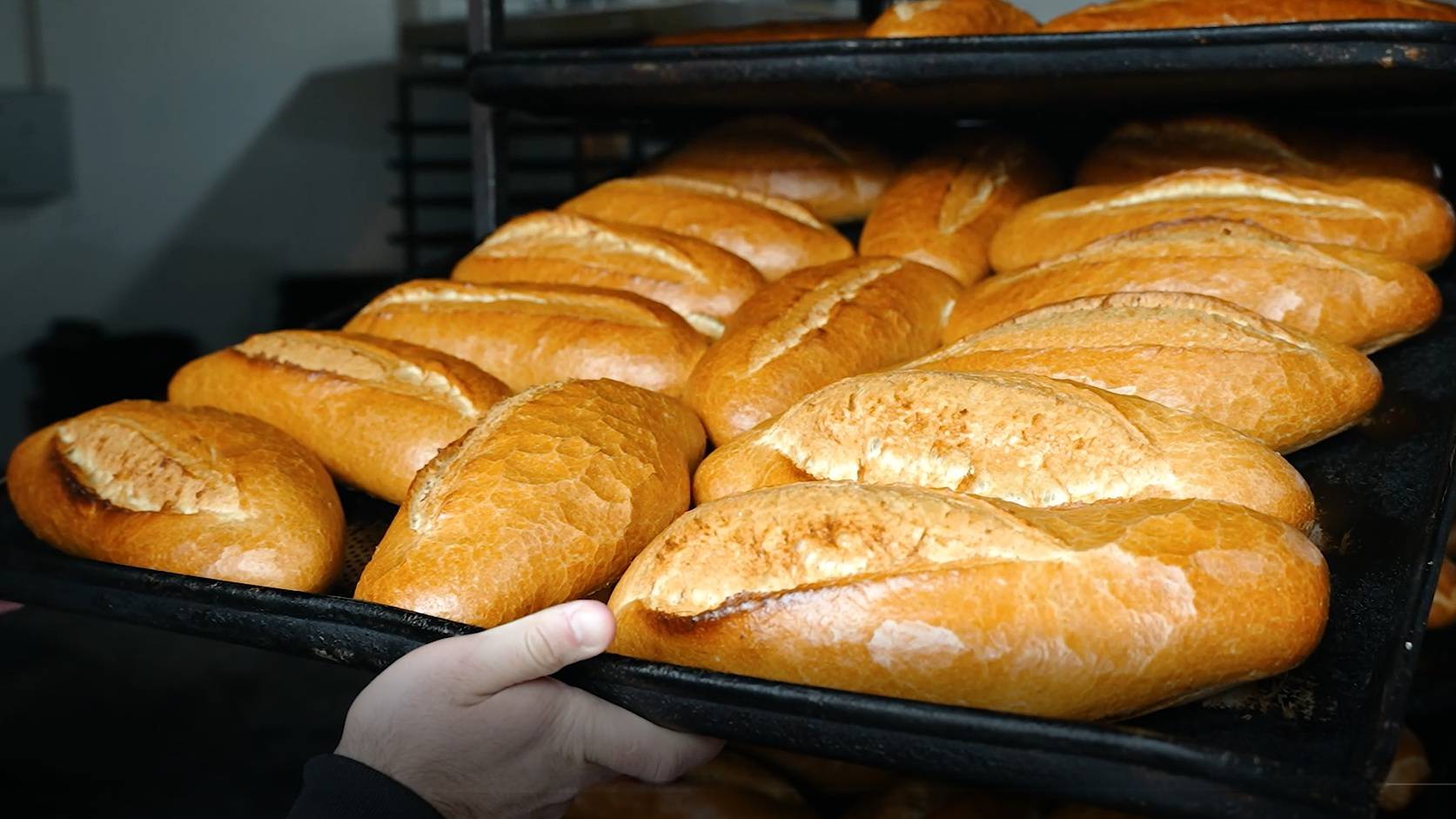 Линия формовки батонов Panemor смотреть онлайн