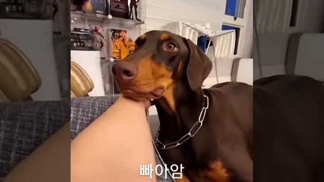 jungkook and bam cute moments ☺️💜 JK's ig story смотреть онлайн