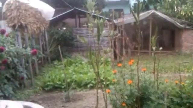 Madan Rai's Eco-San toilet and garden смотреть онлайн