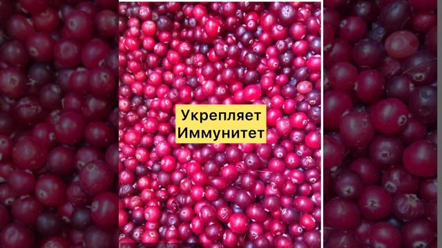 Чем Полезна КЛЮКВА? смотреть онлайн