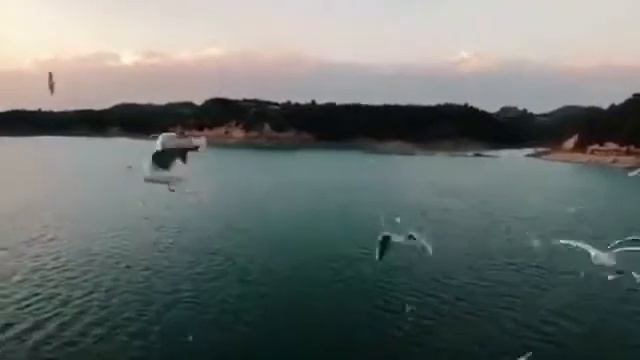 Нашид смотреть онлайн