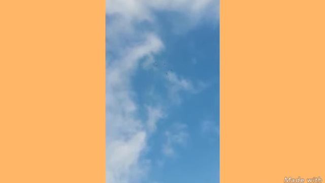 "" НИКОЛАЕВСКАЯ ПТИЦА "" ВИДЕО ДЛЯ "" ЛЕХИ "" ПРОЛЕТАРСК смотреть онлайн