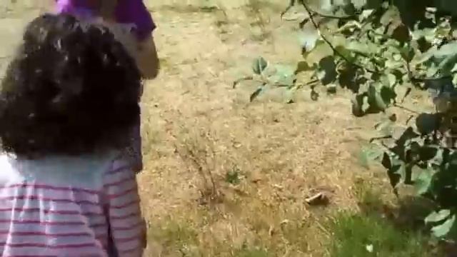 Backyard apple picking with the girls смотреть онлайн