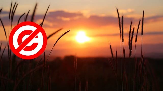 Voyage - LEMMiNO (Музыка без авторских прав / No Copyright Music) смотреть онлайн