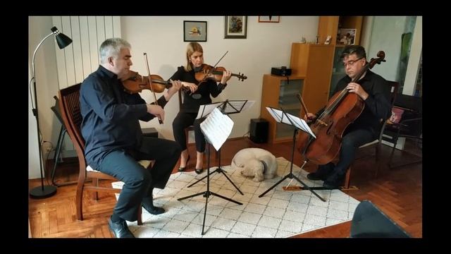 Antun Sorkočević - Rondo za gudački trio смотреть онлайн