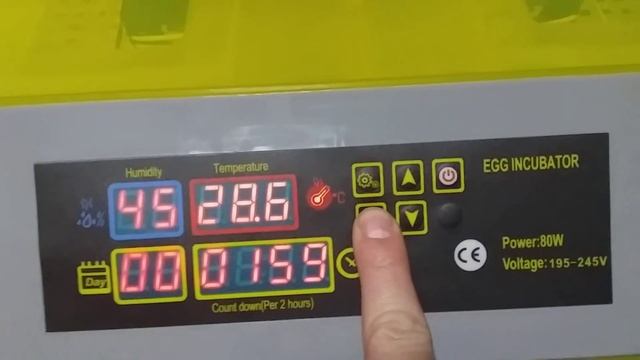 HOW TO USE A 48 EGG INCUBATOR... смотреть онлайн