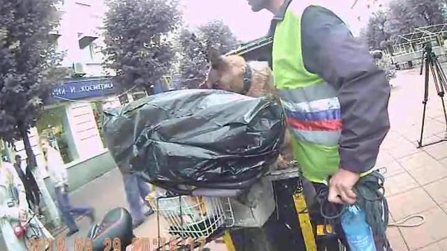 сабака друг челавека смотреть онлайн