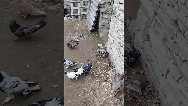 2 февраля 2023 г. смотреть онлайн