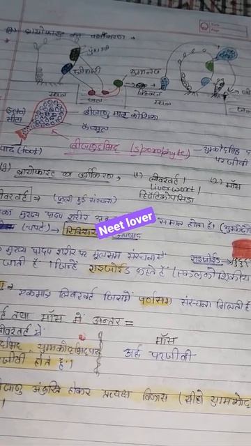 plant kingdom hand written notes✍️ || a day in my life. / bio lover ❤️ #neetaspirant смотреть онлайн
