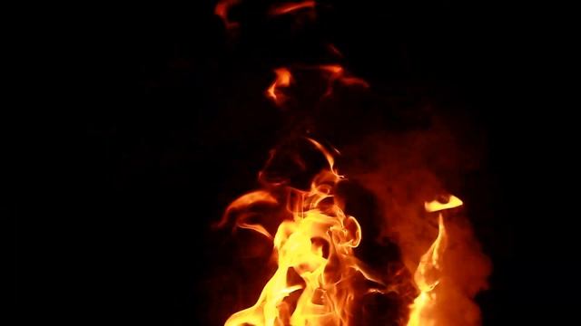 у костра в лесу смотреть онлайн