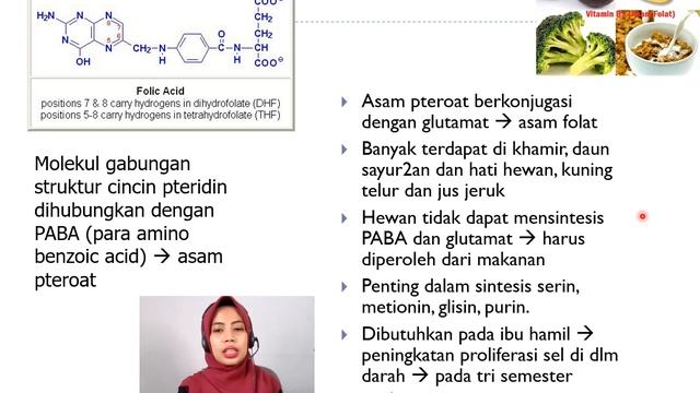 VITAMIN dan mineral смотреть онлайн