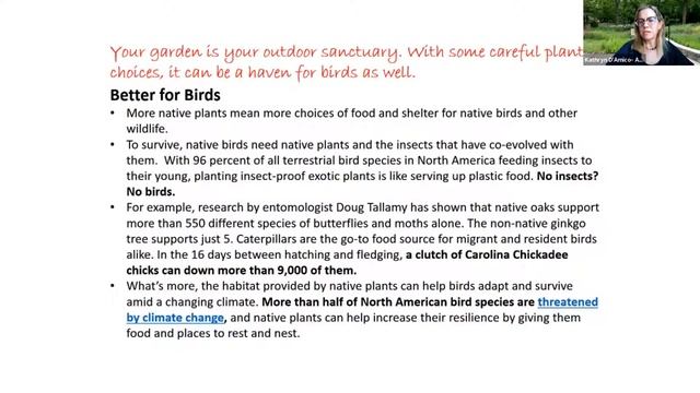 Art in Bloom Virtual Series - Native Gardening & Audubon’s Plants for Birds Program смотреть онлайн