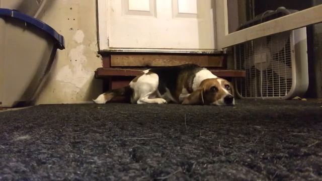 Mark Fantasia - Tonight You Belong To Me - Gene Austin Cover