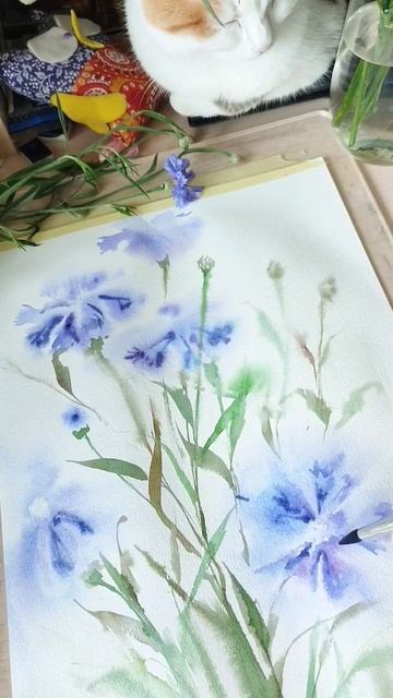 Васильки акварелью. Скетч с натуры. #акварель #какрисоватьакварелью #урокирисования #скетч смотреть онлайн