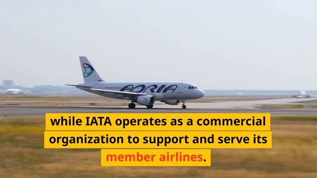 The Difference Between ICAO and IATA смотреть онлайн