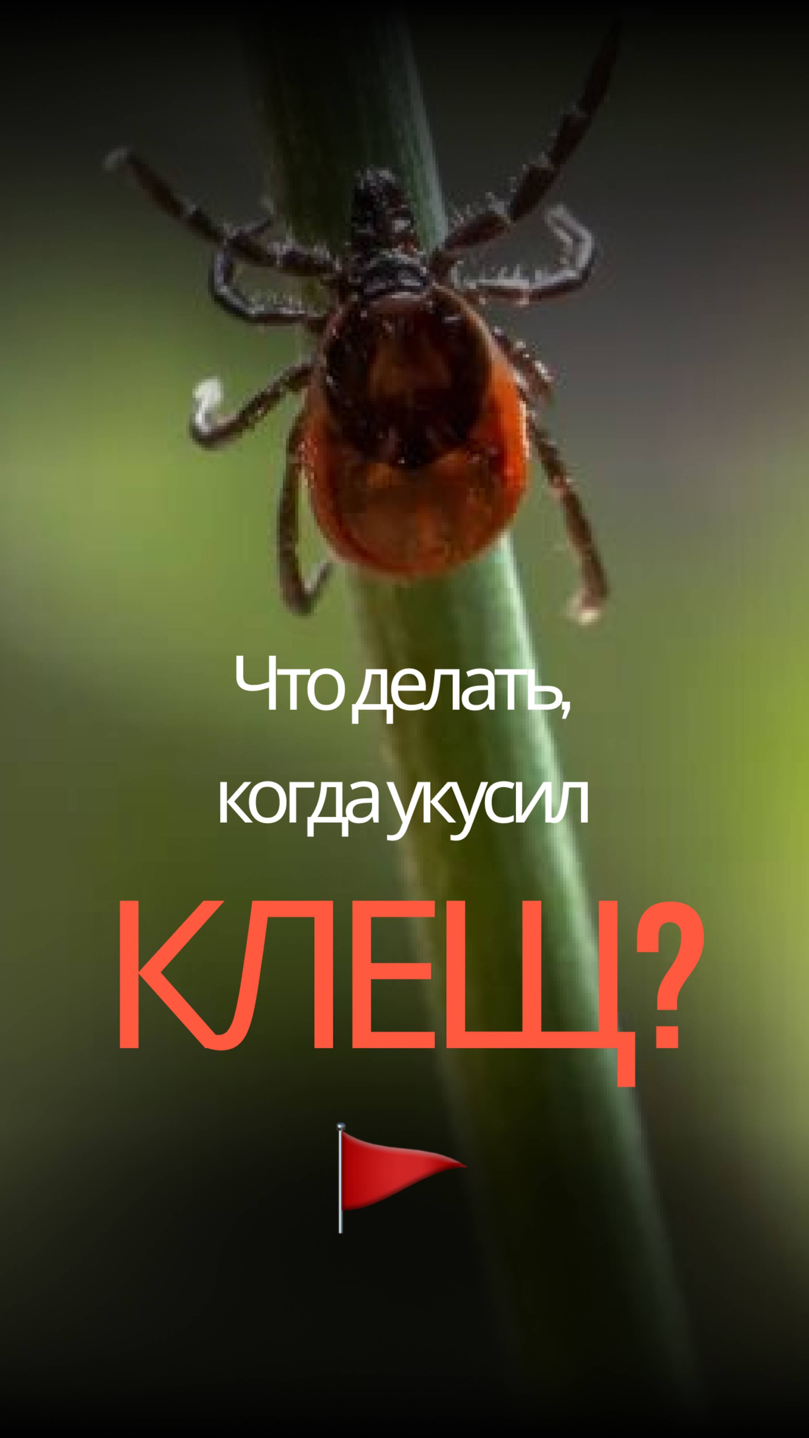 Николай Пизов Первый Шаг