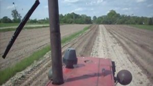 Вторая обработка картофеля трактором. Рыхление с окучиванием. Культиватор КОН-2,8.