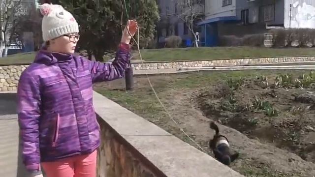 Прогулка!!! смотреть онлайн