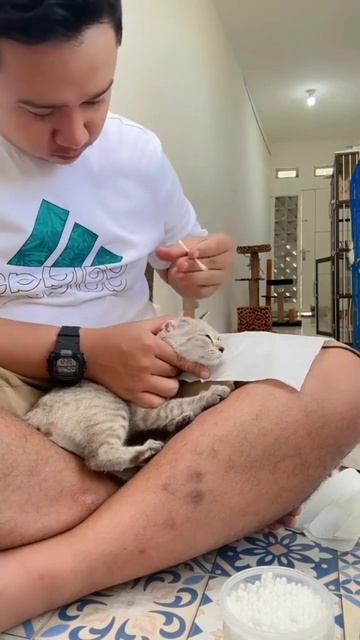 Paket Obat Tetes Untuk Kucing Link Produk Dikolom Komentar