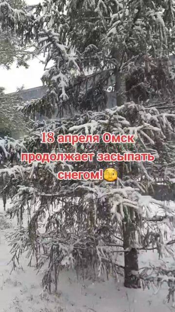 аномальная погода для весны в Омске смотреть онлайн