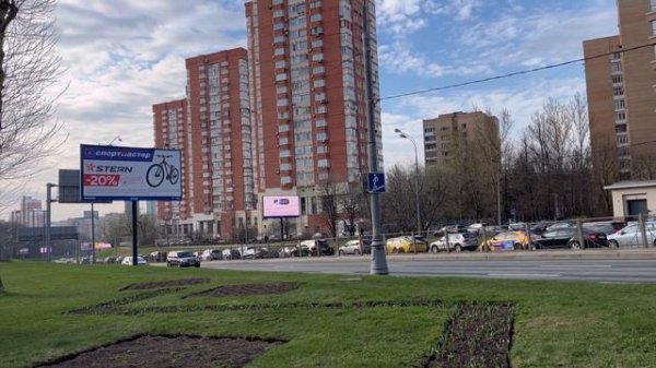 Философия пробки