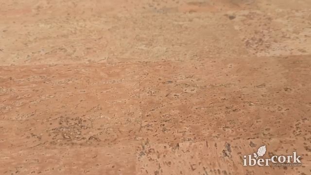 Пробковое покрытие Ibercork Напольный клеевой паркет EasyCork EG Саламанка смотреть онлайн