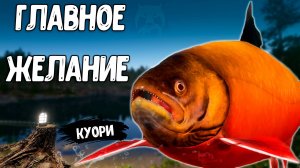 RF4 ГЛАВНОЕ ПРОСТО ЖЕЛАНИЕ И БУДЕТ ТАКОЕ СЧАТЬЕ #рр4