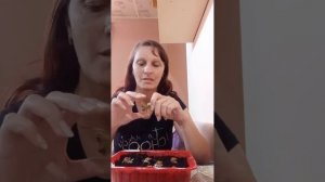 укоренение роз,бутонами.эксперимент.