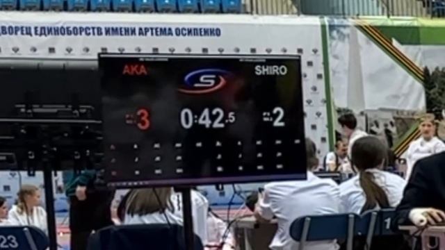 [02.02.24]Фестиваль ЦФО по всестилевому каратэ г. Брянск. смотреть онлайн