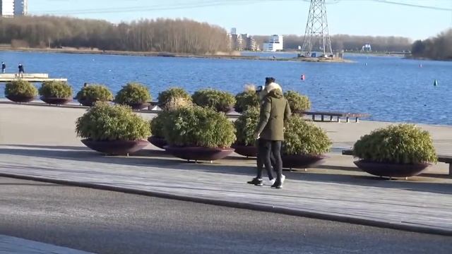 bontkraagboys prank смотреть онлайн
