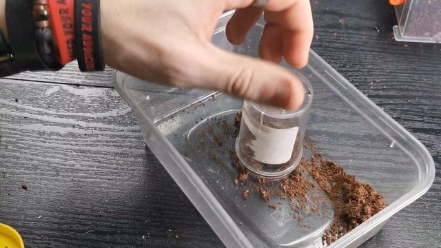 Sling rehouses! смотреть онлайн