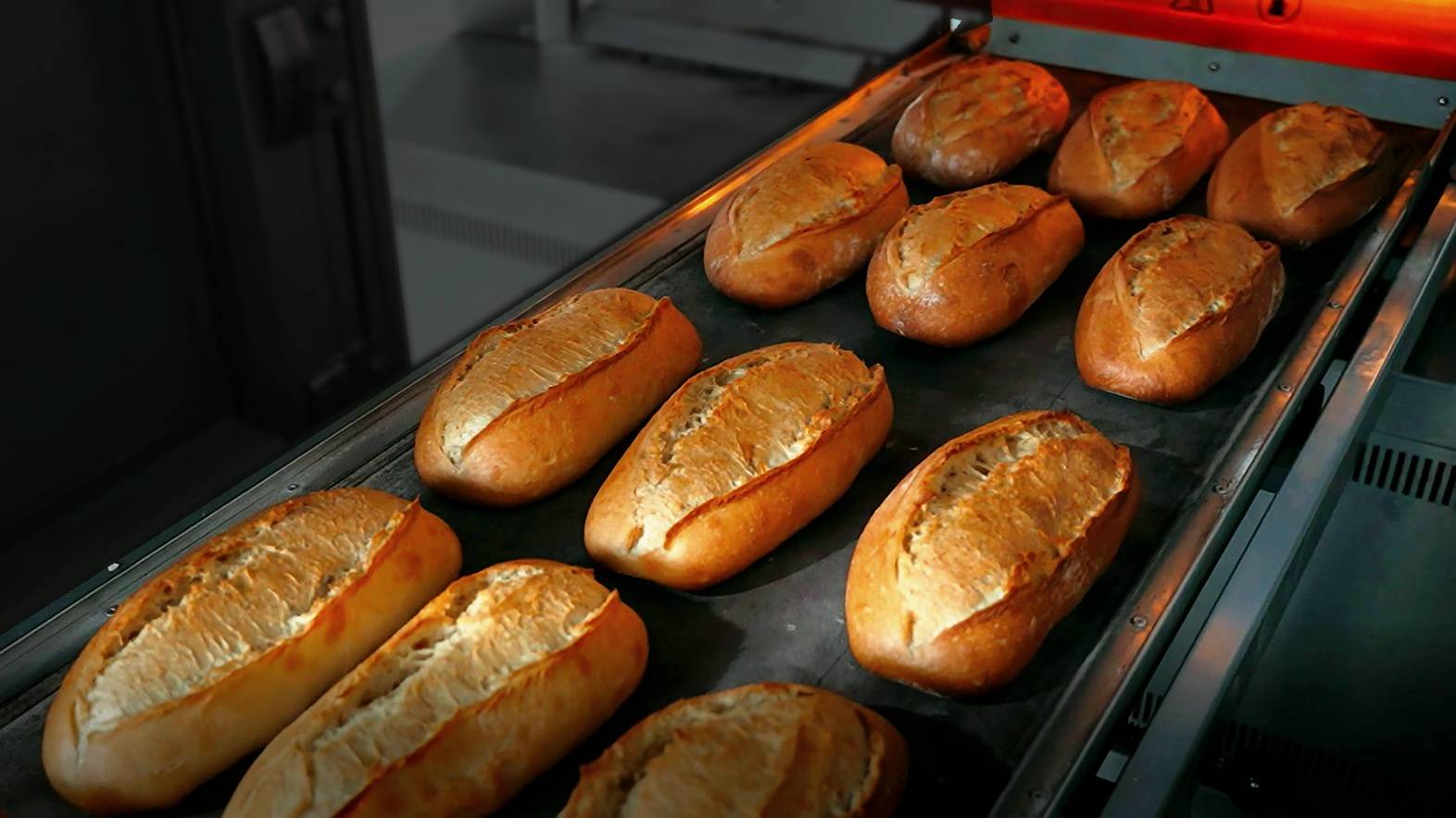 Подовая паротрубная печь PTO 160 (газ/дизель) смотреть онлайн