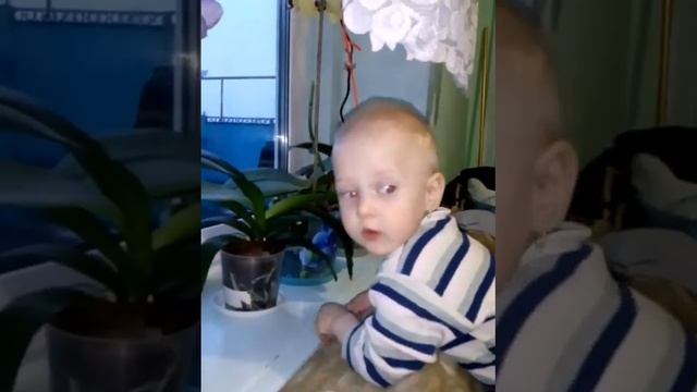 ДЕТИ. ЛЕС И ЧТО ПОЛУЧИЛОСЬ ВЫРАСТИТЬ. смотреть онлайн