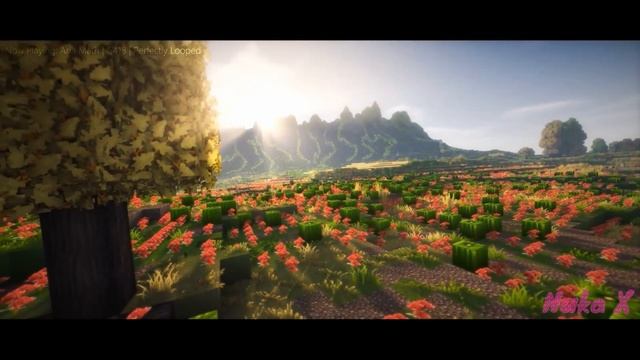 Aria Math | C418 | Perfectly Looped смотреть онлайн