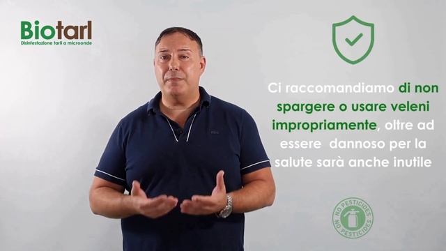 Problemi con Acaro del Tarlo del Legno? Scopri Come Riconoscerlo ed Eliminarlo definitivamente смотреть онлайн