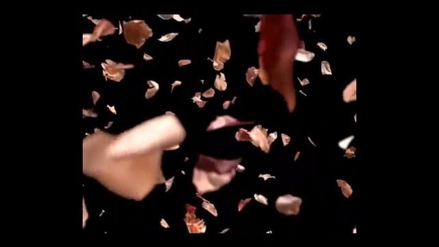 Let's Stay Together - Tina Turner. смотреть онлайн