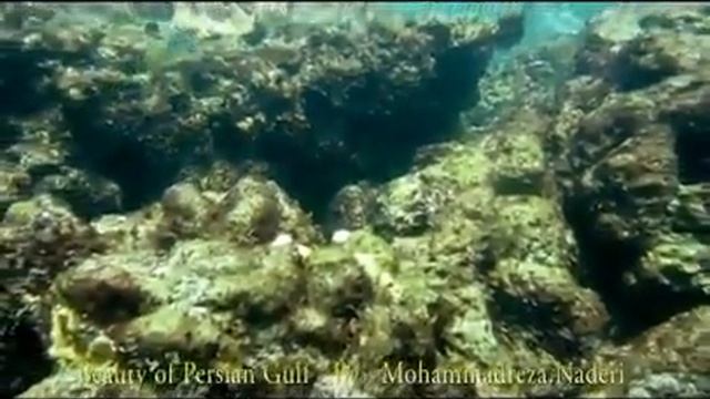 Beauty of Persian Gulf . Qeshm , Larak , Hormoz смотреть онлайн