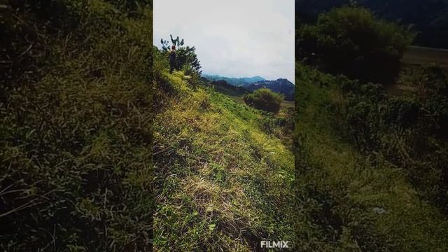 DJI AGRAS DRONE T30 and T20 spraying grass in the mountain using drone смотреть онлайн