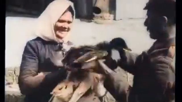 Ростов на Дону 1918 год Кинохроника в цвете Немецкая документалка смотреть онлайн