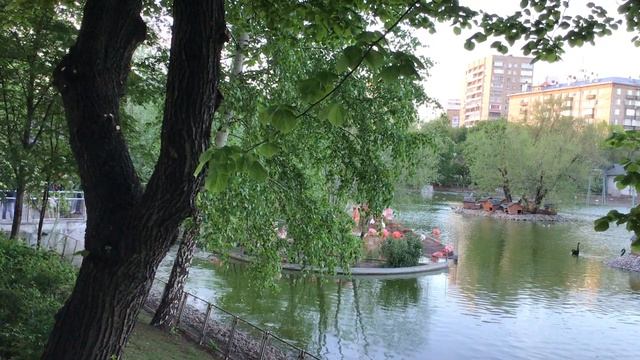 Розовый фламинго смотреть онлайн