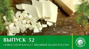 Новостной канал «Звенящие Кедры России» | выпуск 52 от 01.04.2021