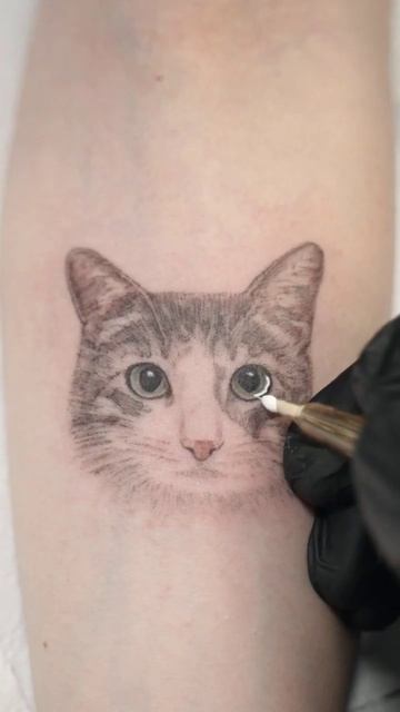 😺Cat portrait from photo (Портрет котика по фото) Microrealism tattoo 5 cm. From photo🐈⬛ смотреть онлайн