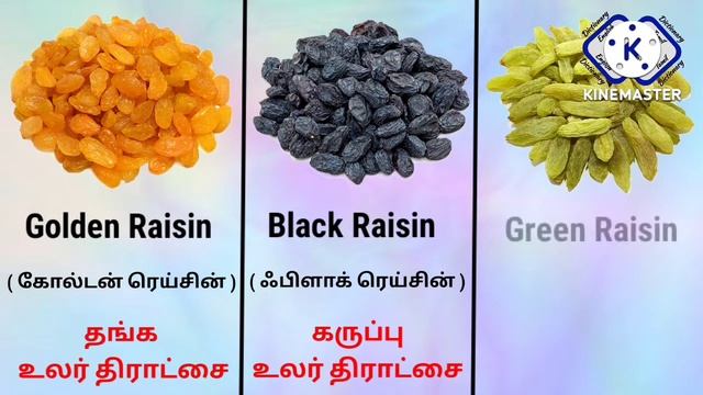 Dry Nuts, Dry Fruits, Dry Seeds Names in Tamil & English with Images...Nuts | Dry Fruits | Dry Seed смотреть онлайн