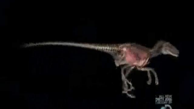 Clash of the Dinosaur Perfect Predators part 2 смотреть онлайн