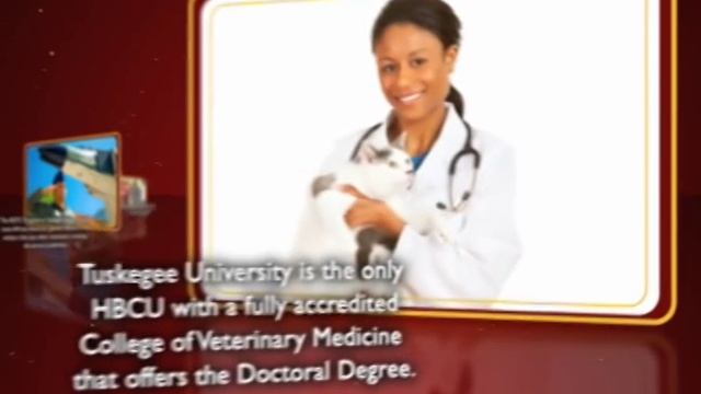 Points of Distinction 2011 смотреть онлайн